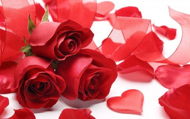 Dedicatorias para el Día del Amor | Frases románticas para novios